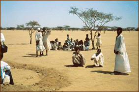 Paysage du Sahel pendant la saison sèche