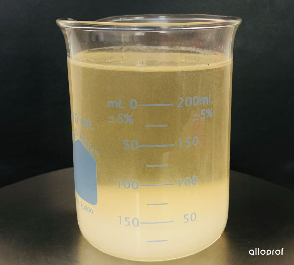 Une solution saturée de saccarose