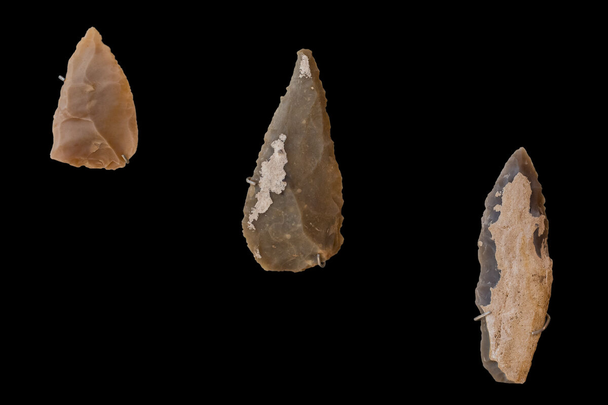 Exemples d'artefacts