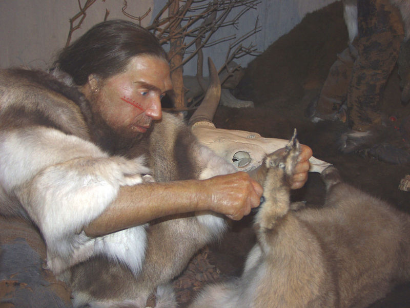 Reconstitution d'un homme de Néandertal