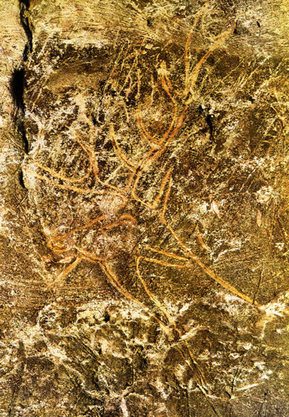 Peinture d'un cerf se trouvant dans la grotte de Lascaux