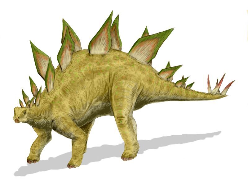 Jurassique