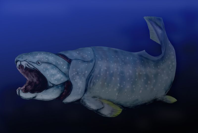 Poisson
