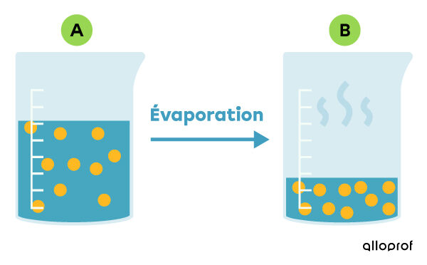 La séparation d’un mélange par évaporation