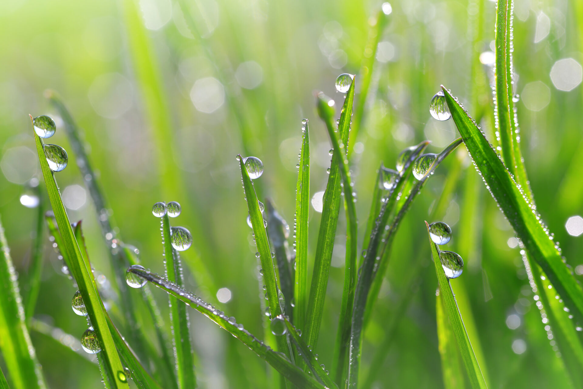 Les gouttes d’eau comprennent des milliards de particules.
