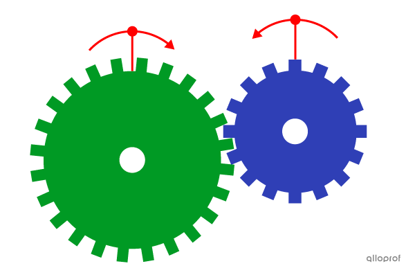 Les dents de la première roue dentée s’engrènent dans la deuxième roue dentée, ce qui permet de transmettre le mouvement de rotation.