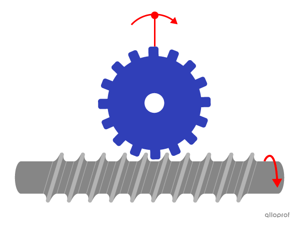 La rotation de la vis sans fin permet la rotation de la roue dentée grâce à son filetage hélicoïdal.