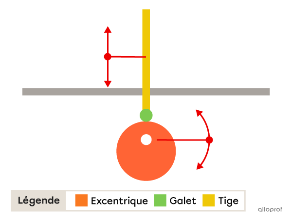 Un excentrique, ou une came, dont l’axe de rotation est décentré par rapport à sa circonférence.
