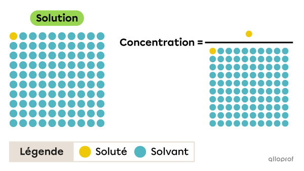 La concentration d’une solution correspond au rapport entre la quantité de soluté dissoute et la quantité de solution.