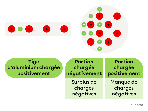 La portion de la boule qui est la plus près de la tige est chargée négativement et la partie de la boule qui est la plus éloignée de la tige est chargée positivement.