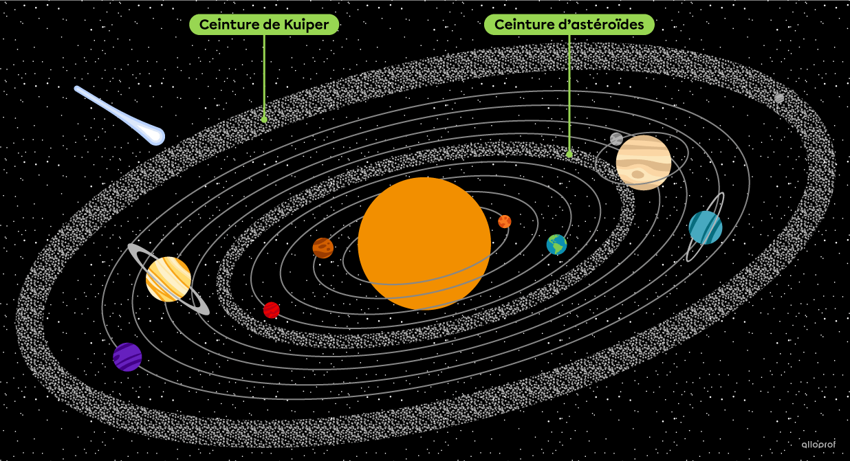 La ceinture d’astéroïdes principale, située entre les orbites de Mars et de Jupiter, et la ceinture de Kuiper, située au-delà de l’orbite de Neptune.